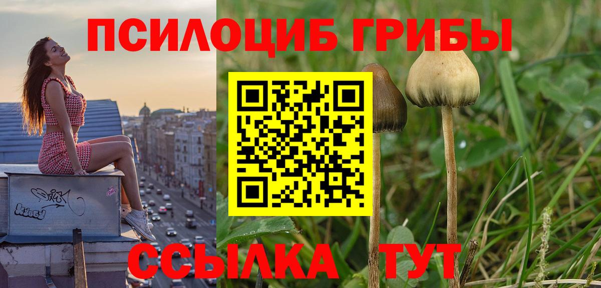 Галлюциногенные грибы GOLDEN TEACHER  Вход с VPN  Псилоцибиновые грибы прущие грибы  Саянск 