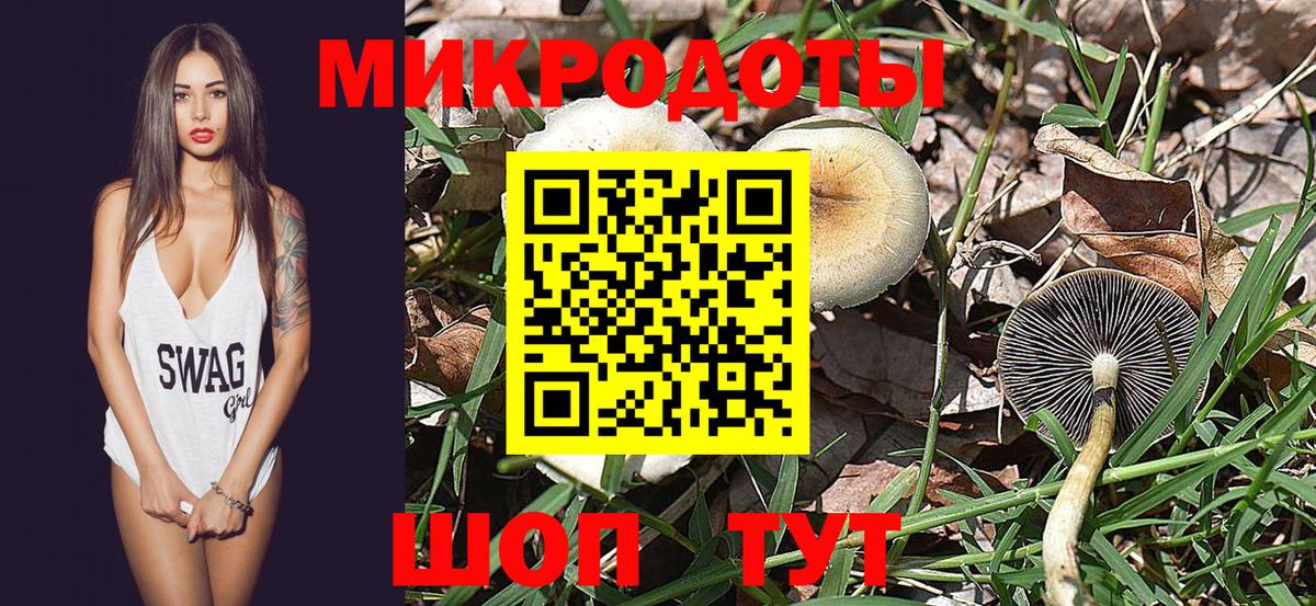Псилоцибиновые грибы Psilocybine cubensis Саянск